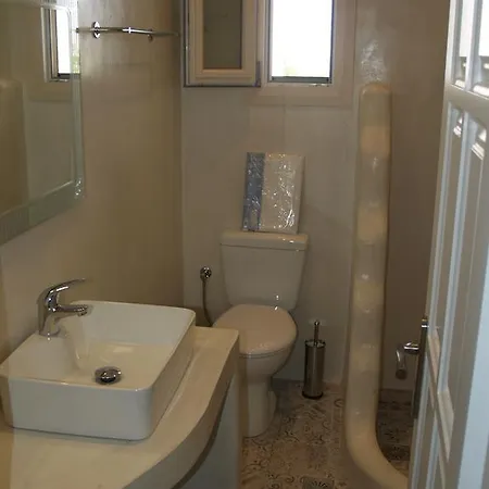 公寓 Vasiliki's House Naxos City