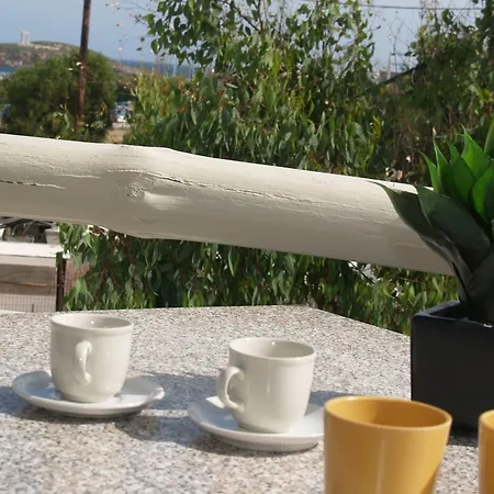 公寓 Vasiliki's House Naxos City