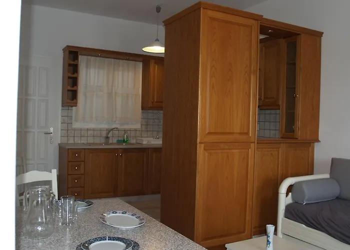 Vasiliki's House Apartment Naxos City